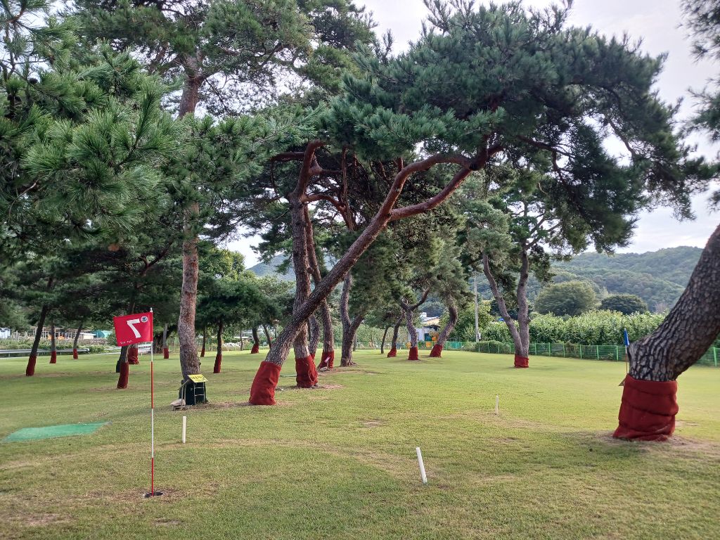코스 전경