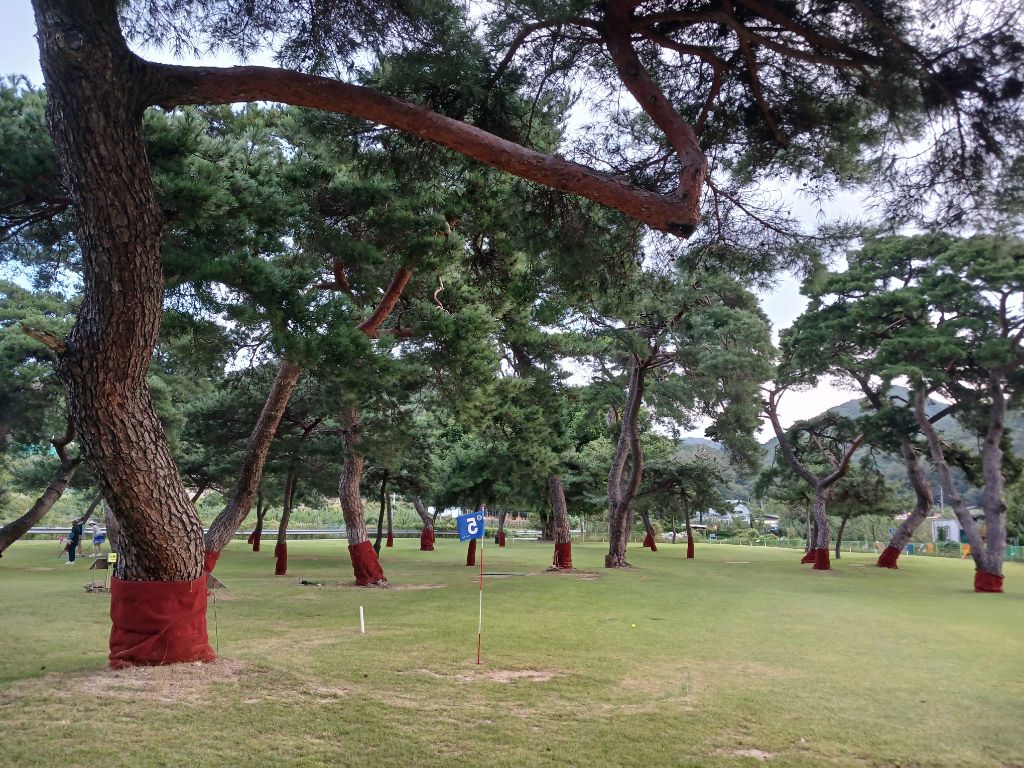 코스 갤러리 2
